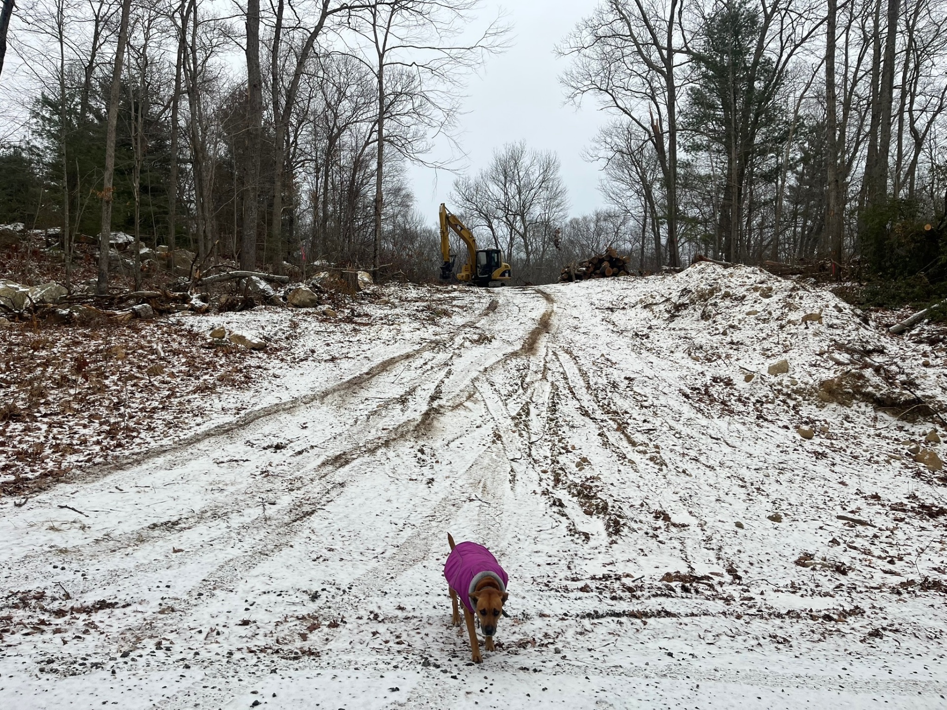 Site preparation in winter